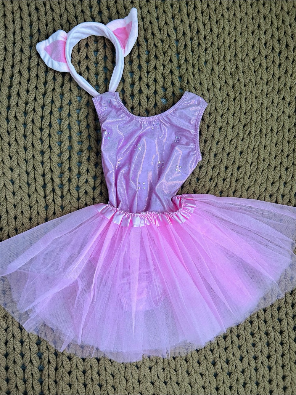Pig Dance Costume Tutu Skirt